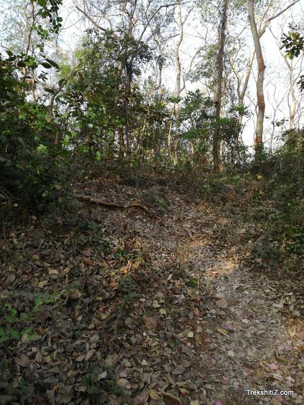Pimplas Kot, Way to fort